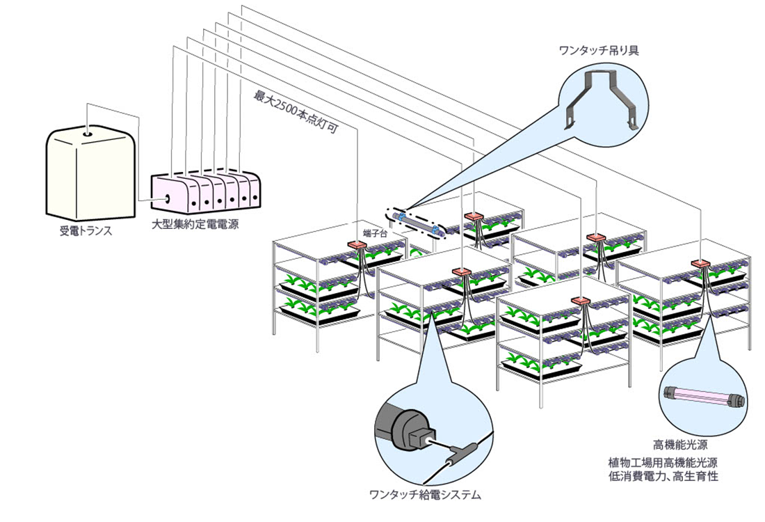 植物工場の棚イラスト